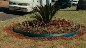 Mudas de flores são furtadas em avenida de Foz do Iguaçu e Secretaria de Meio Ambiente pede apoio da população